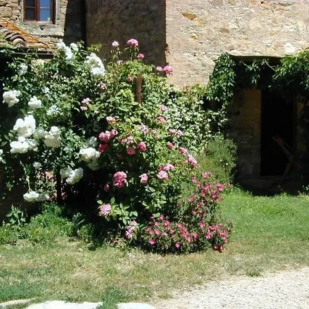 Appartamento Urlaub Flach Weiss By Interhome