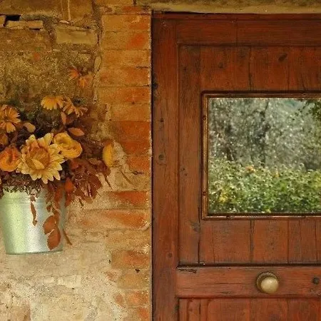 Urlaub Flach Weiss By Interhome Barberino di Val dʼElsa